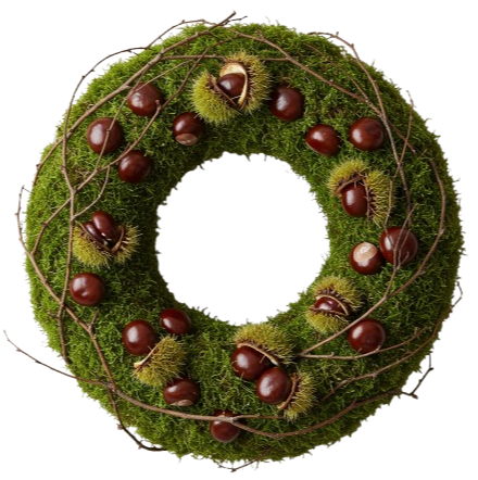 Chestnut and Twigs Moss Door Wreath