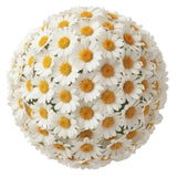 Classic Daisies Bouquet