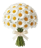 Classic Daisies Bouquet