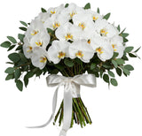 Classic Phalaenopsis Orchids Bouquet with Greenery