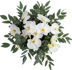 Classic Phalaenopsis Orchids Bouquet with Greenery