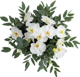 Classic Phalaenopsis Orchids Bouquet with Greenery