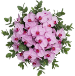 Classic Phalaenopsis Orchids Bouquet with Greenery
