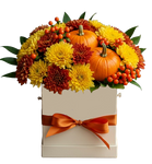 Cute Halloween Box of Chrysanthemum and Pumpkin