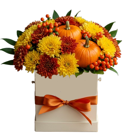 Cute Halloween Box of Chrysanthemum and Pumpkin