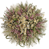 Daisy Tanacetum with Pink Erica Bouquet