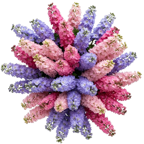 Delphinium Trio Colour Bouquet