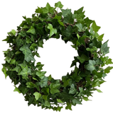 Fresh Green Hedera Wreath