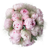 Gorgeous Peonies with Panicum Grass Bouquet