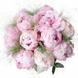 Gorgeous Peonies with Panicum Grass Bouquet