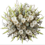 Luxury Gladiolus with Twisted Willow and Eucalyptus Bouquet