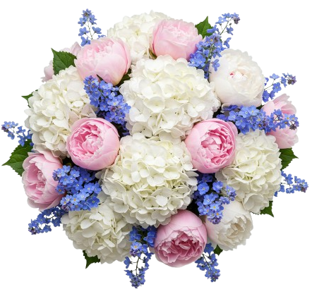 Magnificent Bouquet of Hydrangea and Peonies with Forget Me Not