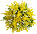 Mimosa and Lily of the Valley Bouquet