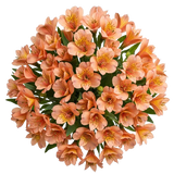 Orange Alstroemeria Bouqet