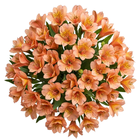Orange Alstroemeria Bouqet