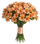 Orange Alstroemeria Bouqet