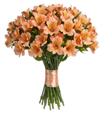 Orange Alstroemeria Bouqet
