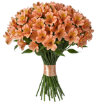 Orange Alstroemeria Bouqet