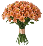 Orange Alstroemeria Bouqet