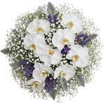 Phalaenopsis Orchids Bouquet with Gypsophila and Lavender Accent