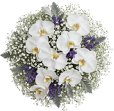 Phalaenopsis Orchids Bouquet with Gypsophila and Lavender Accent