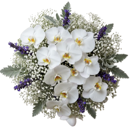 Phalaenopsis Orchids Bouquet with Gypsophila and Lavender Accent