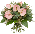 Pink Anthurium with Wax Flowers and Greenery Bouquet