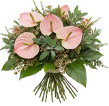 Pink Anthurium with Wax Flowers and Greenery Bouquet