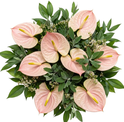 Pink Anthurium with Wax Flowers and Greenery Bouquet