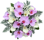 Pretty Bouquet of Pink Phalaenopsis Orchids with Calla Lily