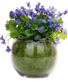 Pretty Violets Glass Fishbowl