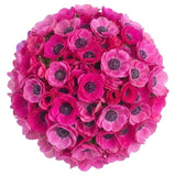 Cerise Anemone Bouquet