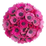 Cerise Anemone Bouquet