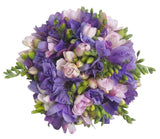 Purple Anemone & Pink Freesias Bouquet