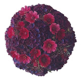 Purple Hydrangea with Cosmos and Panicum Grass Bouquet