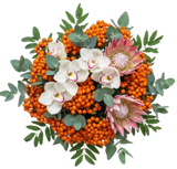 Rowan Glow and Protea Luxury Bouquet