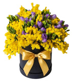 Scented Box of Mimosa and Freesias