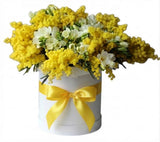 Scented Box of Mimosa and Freesias