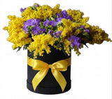 Scented Box of Mimosa and Freesias