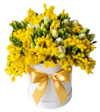 Scented Box of Mimosa and Freesias