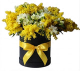 Scented Box of Mimosa and Freesias