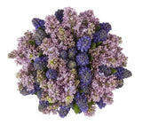 Scented Bouquet of Hyacinth and Purple Lilac