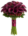 Shadows and Scarlet Blooms  Bouquet