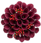 Shadows and Scarlet Blooms  Bouquet