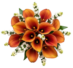 Snowberry Kissed Calla Dreams Bouquet