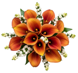 Snowberry Kissed Calla Dreams Bouquet