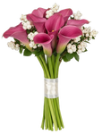 Snowberry Kissed Calla Dreams Bouquet