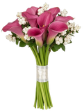 Snowberry Kissed Calla Dreams Bouquet