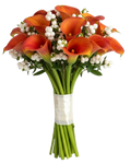 Snowberry Kissed Calla Dreams Bouquet