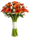Snowberry Kissed Calla Dreams Bouquet